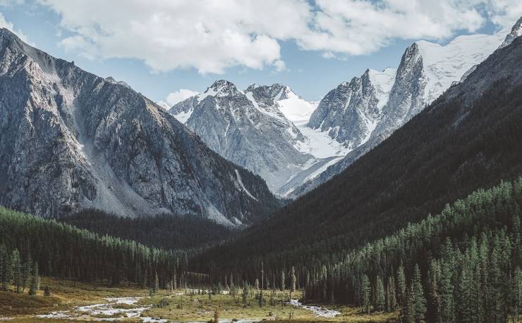 探索最佳手机回收平台，哪个出价更高？手机回收价格对比